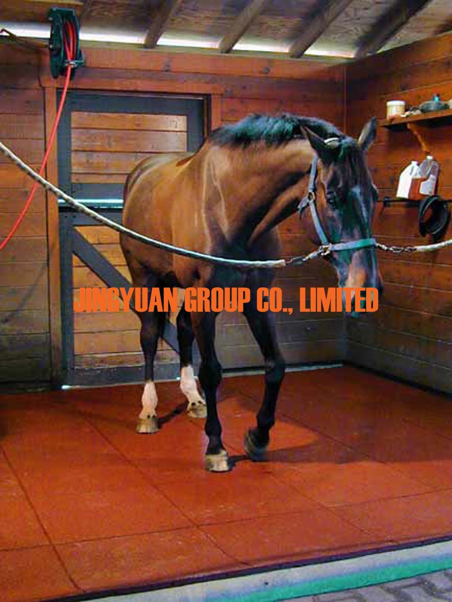 Rubber Floor Tiles Used in Horse Stable